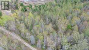 Lot 5 Giguere RD | Thessalon Ontario | Slide Image Eleven