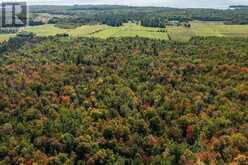 161 Concession Road 5|Plummer Additional Township | Bruce Mines Ontario | Slide Image Four