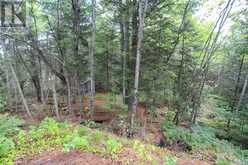 Area of Feltham Rd/Huron Shores | Thessalon Ontario | Slide Image Seventeen