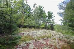 Area of Feltham Rd/Huron Shores | Thessalon Ontario | Slide Image Twenty-two