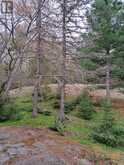 Area of Feltham Rd/Huron Shores | Thessalon Ontario | Slide Image Twenty-three