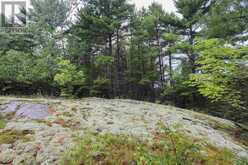 Area of Feltham Rd/Huron Shores | Thessalon Ontario | Slide Image Twenty-five