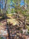 Area of Feltham Rd/Huron Shores | Thessalon Ontario | Slide Image Thirty