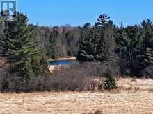 Area of Feltham Rd/Huron Shores | Thessalon Ontario | Slide Image Thirty-two
