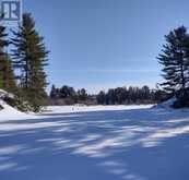 Area of Feltham Rd/Huron Shores | Thessalon Ontario | Slide Image Thirty-three