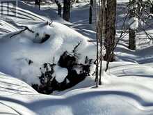Area of Feltham Rd/Huron Shores | Thessalon Ontario | Slide Image Thirty-six