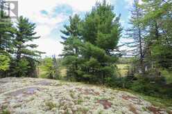 Area of Feltham Rd/Huron Shores | Thessalon Ontario | Slide Image Three