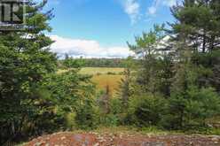 Area of Feltham Rd/Huron Shores | Thessalon Ontario | Slide Image Four