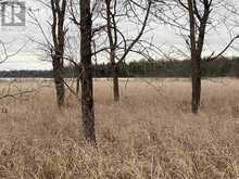 Lot 2 & 3 Con Nelson DR | Hilton Ontario | Slide Image Ten
