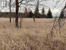 Lot 2 & 3 Con Nelson DR | Hilton Ontario | Slide Image Twelve