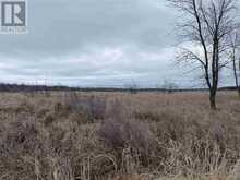 Lot 2 & 3 Con Nelson DR | Hilton Ontario | Slide Image Thirteen
