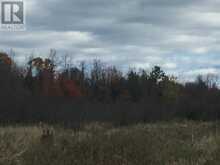 Lot 2 & 3 Con Nelson DR | Hilton Ontario | Slide Image Fourteen