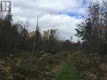 Lot 2 & 3 Con Nelson DR | Hilton Ontario | Slide Image Fifteen