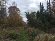 Lot 2 & 3 Con Nelson DR | Hilton Ontario | Slide Image Sixteen