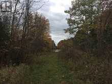 Lot 2 & 3 Con Nelson DR | Hilton Ontario | Slide Image Seventeen