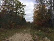 Lot 2 & 3 Con Nelson DR | Hilton Ontario | Slide Image Eighteen