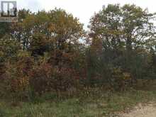 Lot 2 & 3 Con Nelson DR | Hilton Ontario | Slide Image Nineteen