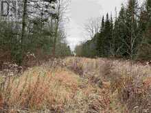 Lot 2 & 3 Con Nelson DR | Hilton Ontario | Slide Image Twenty