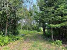 Lot 2 & 3 Con Nelson DR | Hilton Ontario | Slide Image Two