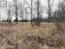Lot 2 & 3 Con Nelson DR | Hilton Ontario | Slide Image Five