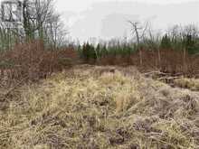 Lot 2 & 3 Con Nelson DR | Hilton Ontario | Slide Image Six