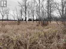 Lot 2 & 3 Con Nelson DR | Hilton Ontario | Slide Image Eight