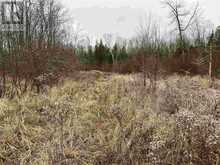 Lot 2 & 3 Con Nelson DR | Hilton Ontario | Slide Image Nine