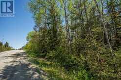 Highway 17 East at Hopper Road|Huron Shores Township | Thessalon Ontario | Slide Image Sixteen