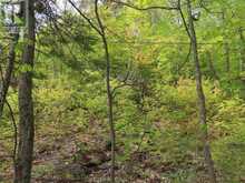 1047 & 1049 Prince Lake RD | Sault Ste. Marie Ontario | Slide Image Nineteen
