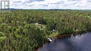 . PCL 53M118 Nagasin Lake|Dalmas Township | Chapleau Ontario | Slide Image Forty