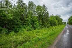Part 1 PT LT 17 Pumpkin Point RD E|Laird Township | Macdonald, Meredith and Aberdeen Additional Ontario | Slide Image Thirteen