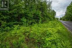 Part 1 PT LT 17 Pumpkin Point RD E|Laird Township | Macdonald, Meredith and Aberdeen Additional Ontario | Slide Image Sixteen