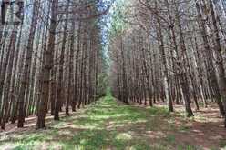 2370 Base Line RD | Sault Ste. Marie Ontario | Slide Image Thirty