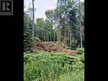 10940 Braniff RD | Bruce Mines Ontario | Slide Image Four
