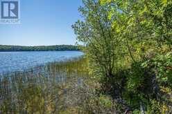 728 Basswood Lake RD | Thessalon Ontario | Slide Image Thirty-eight