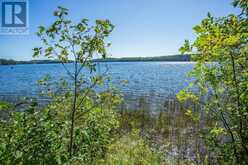728 Basswood Lake RD | Thessalon Ontario | Slide Image Thirty-nine