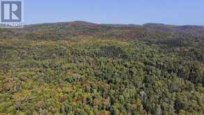 Pt Sec 37 & 38 Off Pickard RD | North Algoma Ontario | Slide Image Nineteen