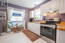 117 Biggings AVE | Sault Ste. Marie Ontario | Slide Image Nine