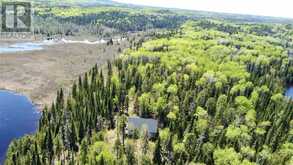 PCL 50 Dog Lake | Missanabie Ontario | Slide Image One