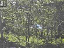 417 Creek RD | Sault Ste. Marie Ontario | Slide Image Nine