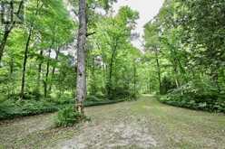 190 Byes Side RD | North Algoma Ontario | Slide Image Seventeen