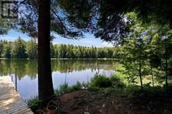 6216 Highway 129 | Thessalon Ontario | Slide Image Forty-one