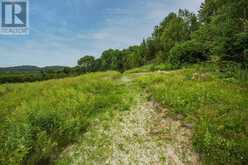 Rock Lake Road|Plummer Township | Bruce Mines Ontario | Slide Image Thirty-two