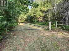 Rock Lake Road|Plummer Township | Bruce Mines Ontario | Slide Image Forty-seven
