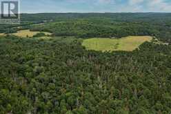 Rock Lake Road|Plummer Township | Bruce Mines Ontario | Slide Image Eight