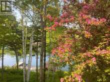 1161 Lau Camp RD | The North Shore Ontario | Slide Image Forty-six
