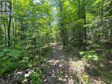 978 Dunlop Lake WAO | Elliot Lake Ontario | Slide Image Thirty-three
