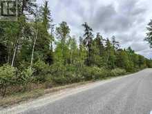 116 Devon RD | Chapleau Ontario | Slide Image Thirty-two