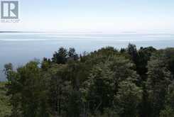 71 Lighthouse Point | Thessalon Ontario | Slide Image Fifteen