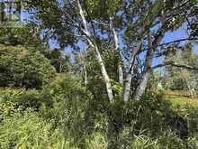 71 Lighthouse Point | Thessalon Ontario | Slide Image Nine